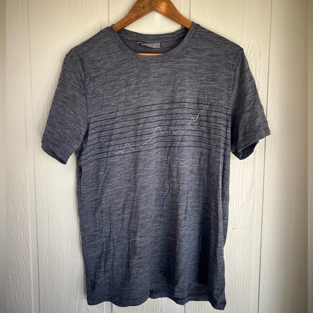 Icebreaker Merino Gray Graphic T-Shirt